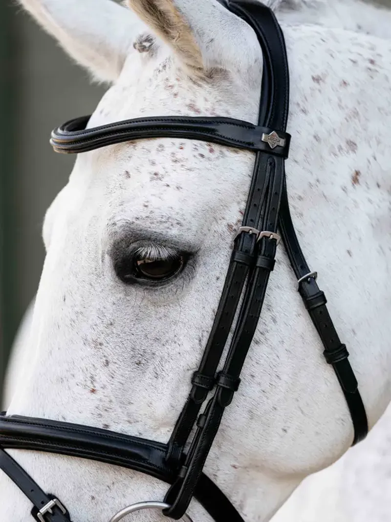 LeMieux Arika Anatomic Flash Bridle - Black/Silver-2