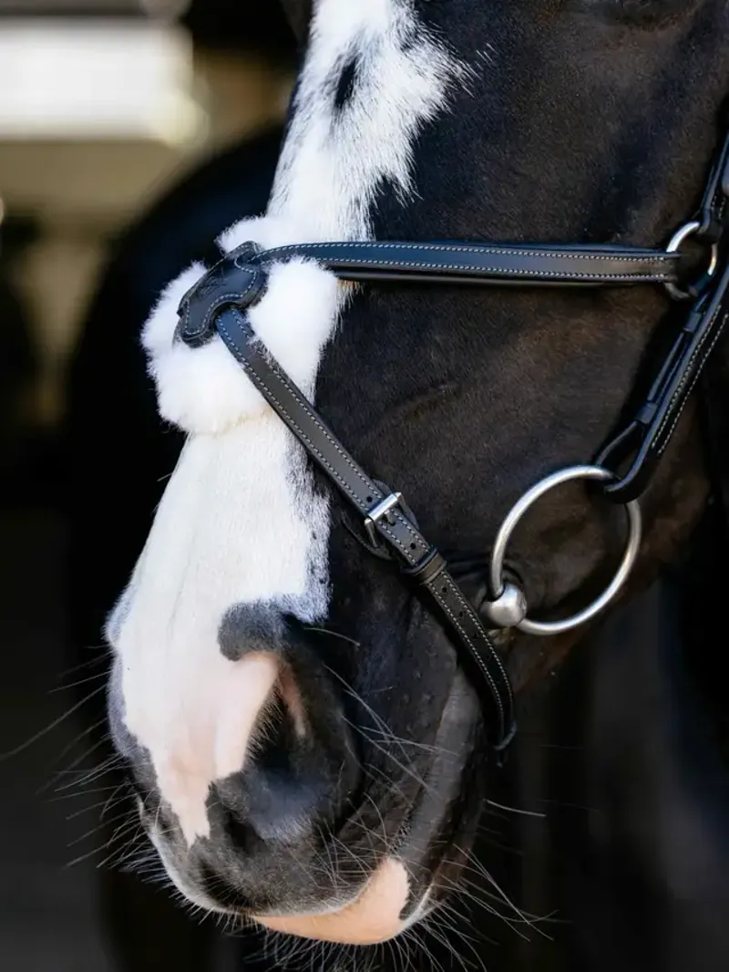 LeMieux Arika Anatomic Grackle Bridle - Black/Silver-2