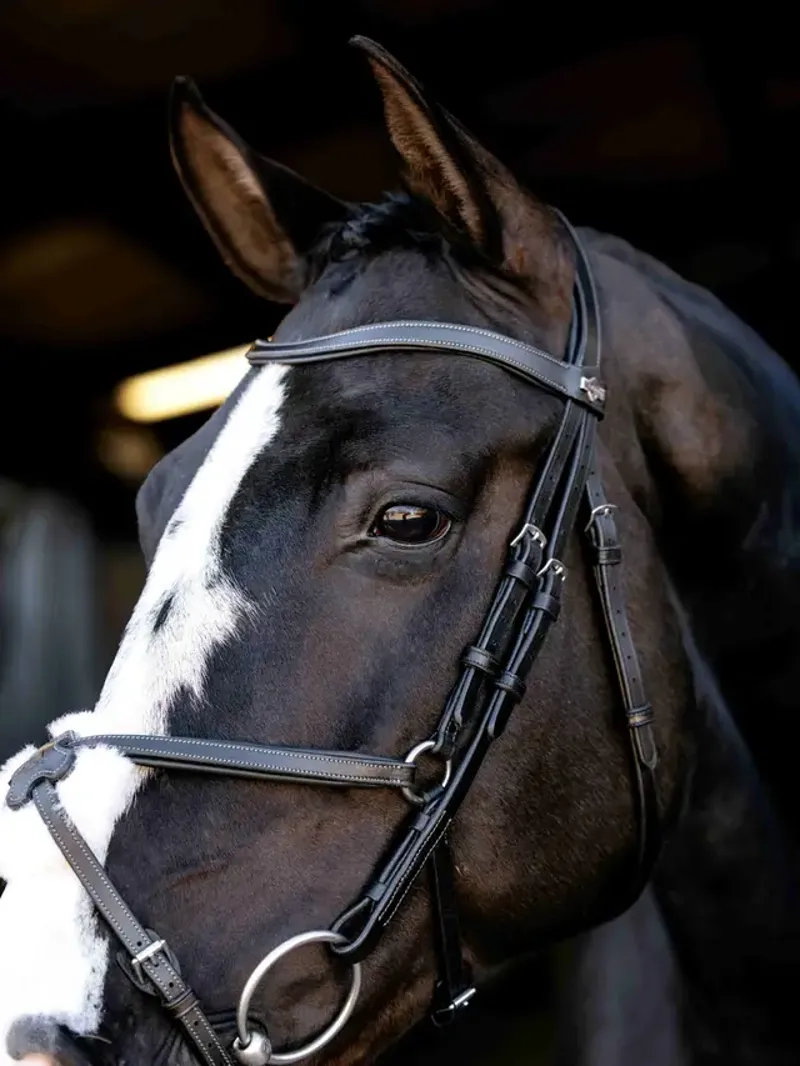 LeMieux Arika Anatomic Grackle Bridle - Black/Silver-3