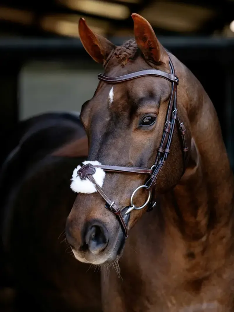 LeMieux Arika Anatomic Grackle Bridle - Havana/Silver
