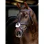 LeMieux Arika Anatomic Grackle Bridle - Havana/Silver