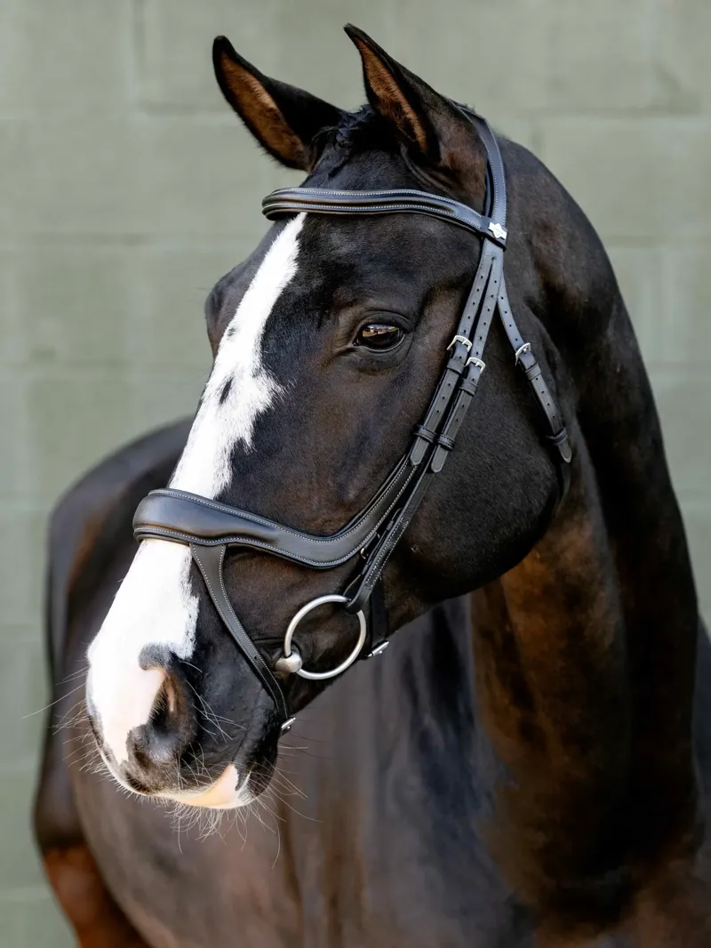 LeMieux Arika Anatomic Split Noseband Bridle  -Black/Silver
