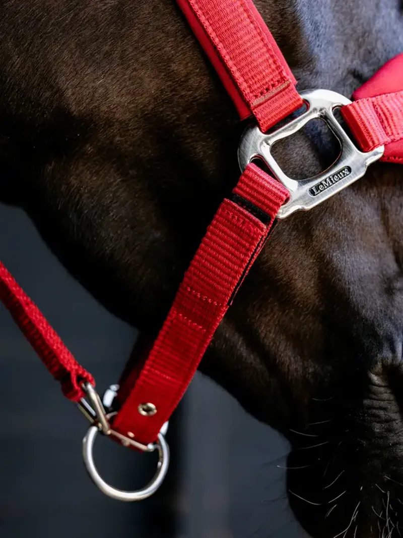 LeMieux Breakaway Vogue Headcollar - Chilli-3