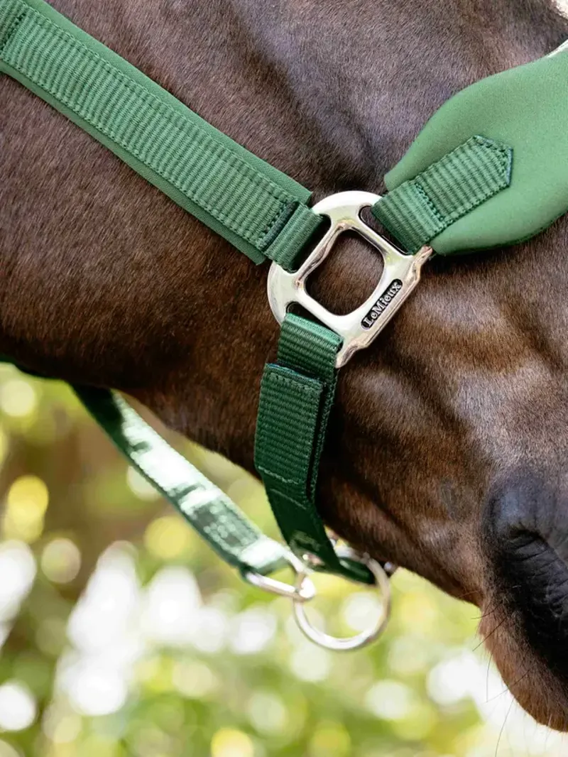 LeMieux Breakaway Vogue Headcollar - Hunter Green-3