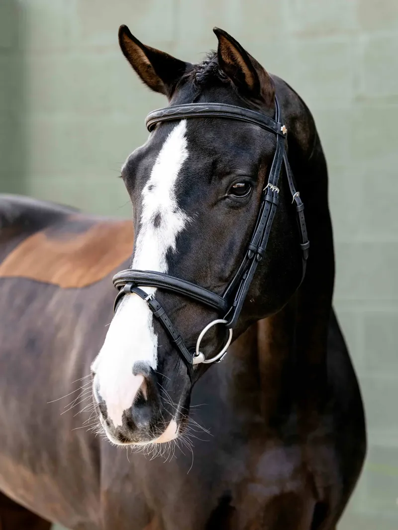 LeMieux Arika Classique Flash Bridle - Black
