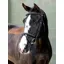 LeMieux Arika Classique Flash Bridle - Black