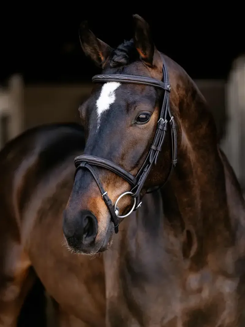 LeMieux Arika Classique Flash Bridle - Brown