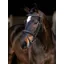 LeMieux Arika Classique Flash Bridle - Brown
