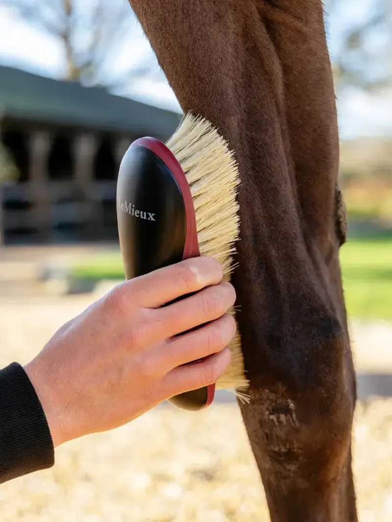 LeMieux Dandy Brush - Black-1