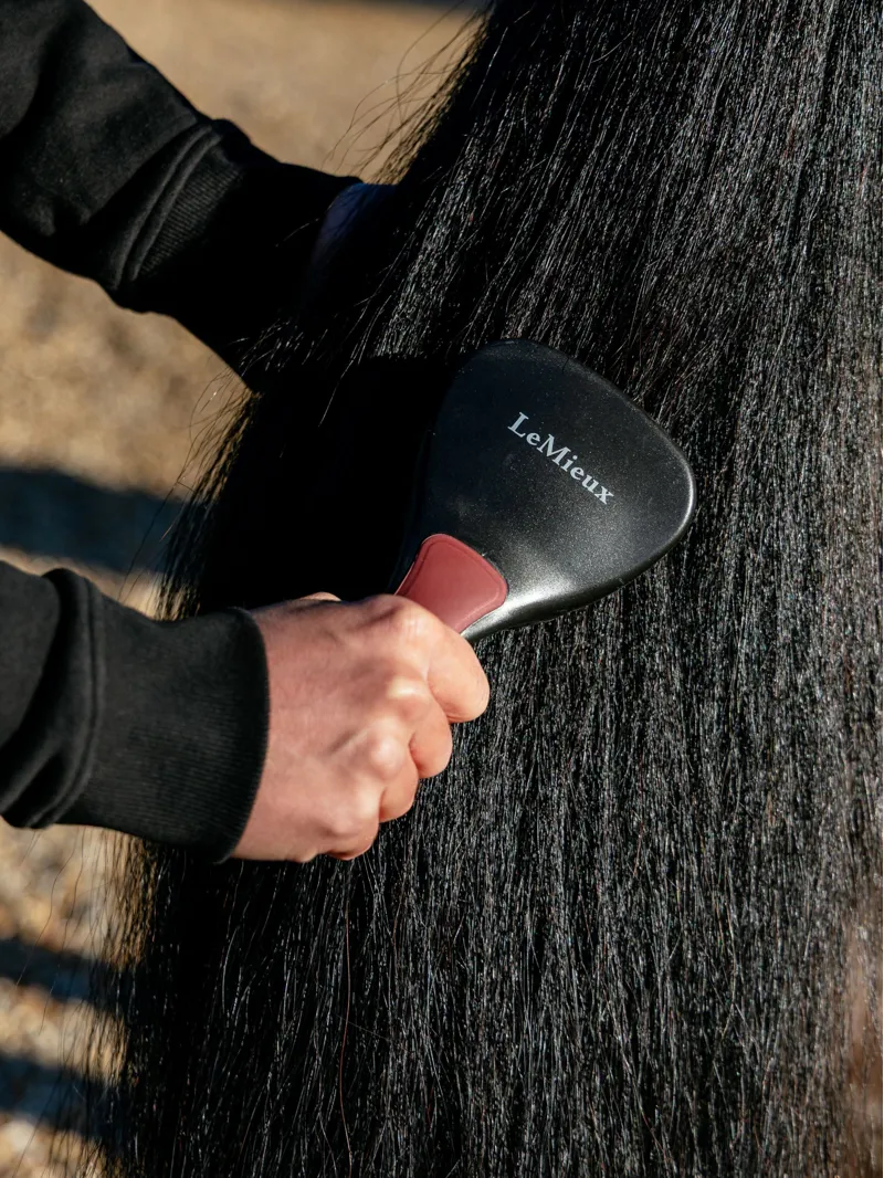 LeMieux Tail Brush - Black-1