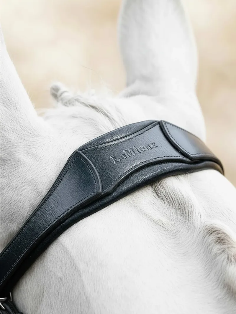 LeMieux Arika Anatomic Flash Bridle - Black/Silver-1