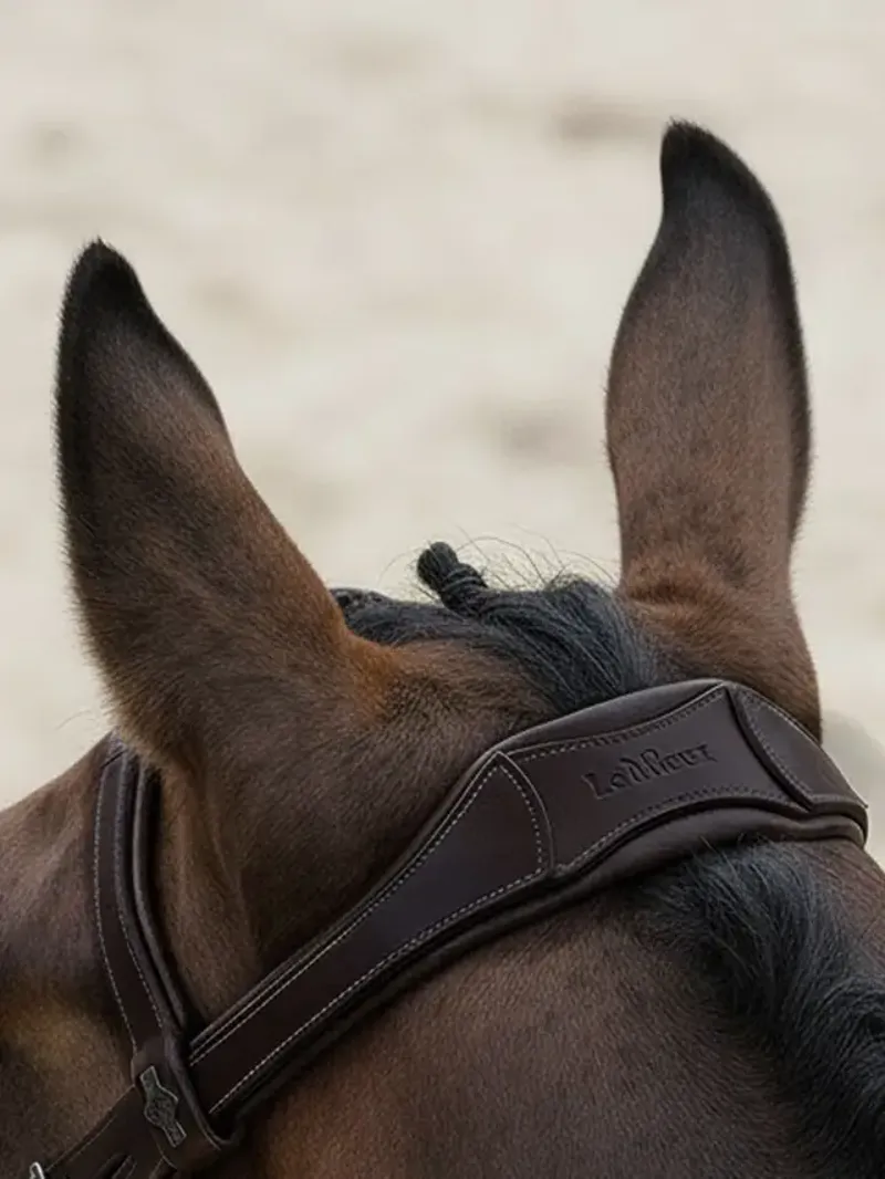 LeMieux Arika Anatomic Flash Bridle - Brown/Silver-1