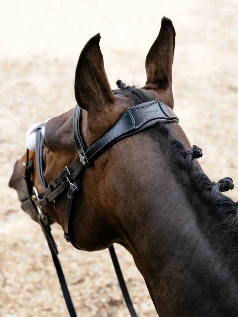LeMieux Arika Anatomic Grackle Bridle - Black/Silver-1