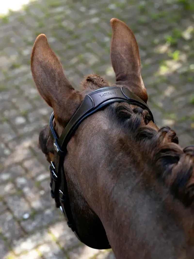 LeMieux Arika Anatomic Grackle Bridle - Havana/Silver-1