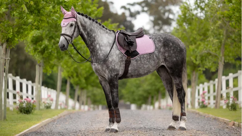 LeMieux Essence Close Contact Square - Fondant Large-1