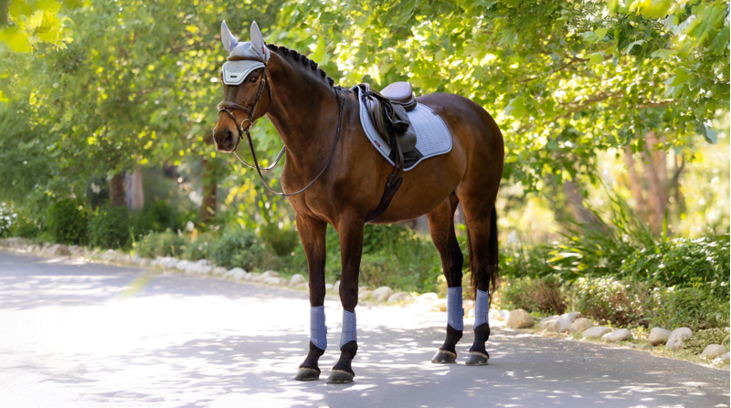 LeMieux Essence Close Contact Square - Powder Blue Large-1