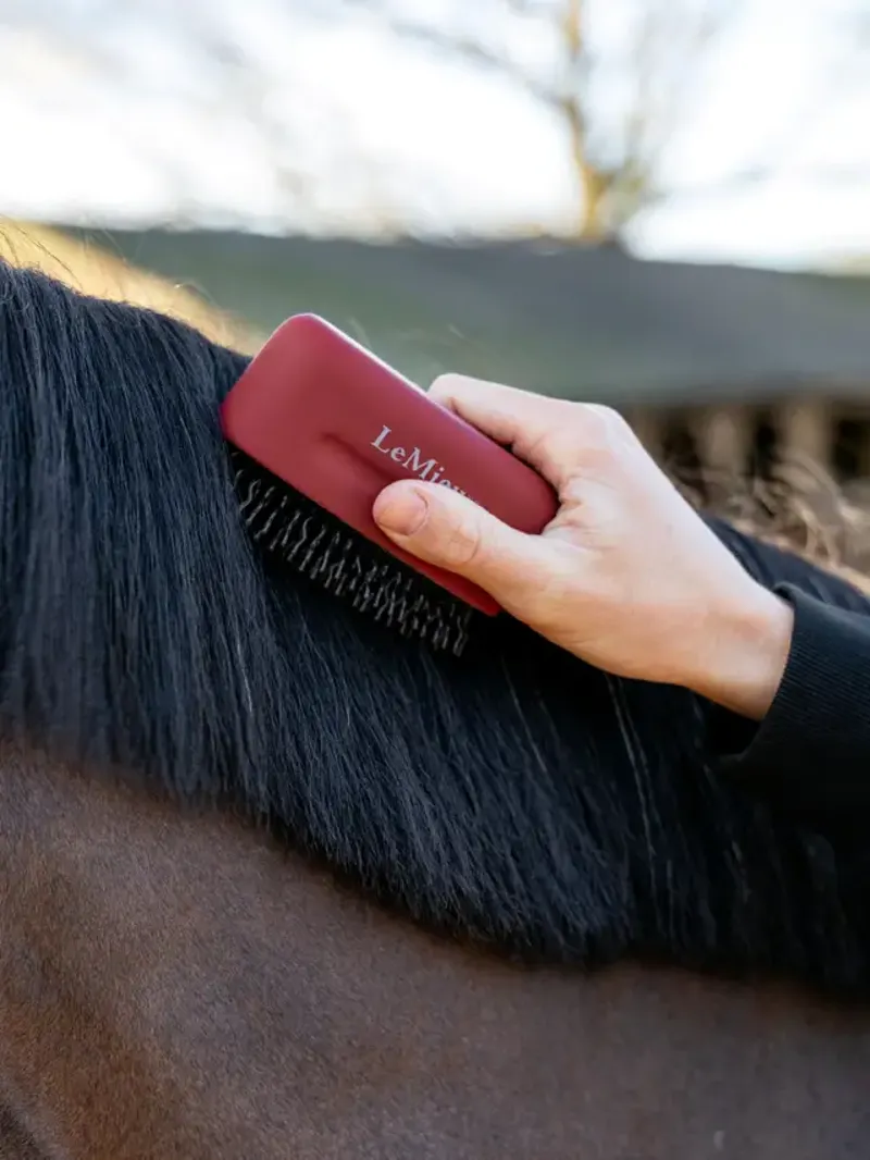 LeMieux Mane Tamer - Red-1