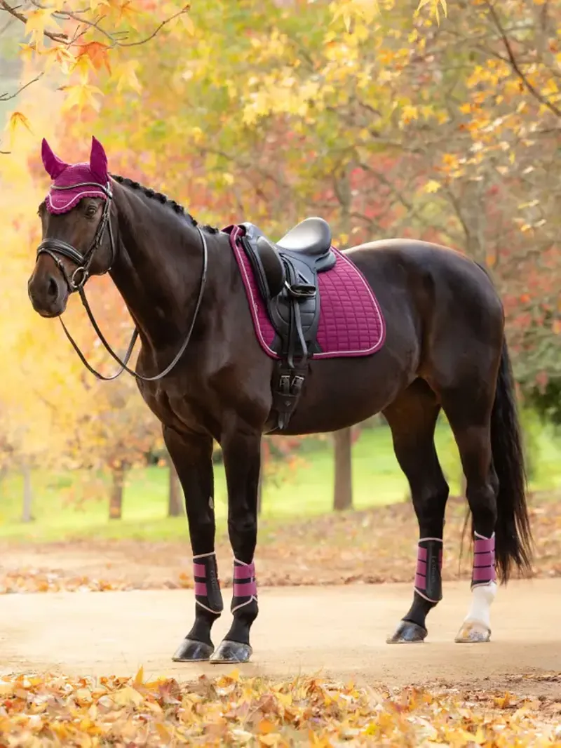 LeMieux Suede Dressage Square - Blackberry Large-1