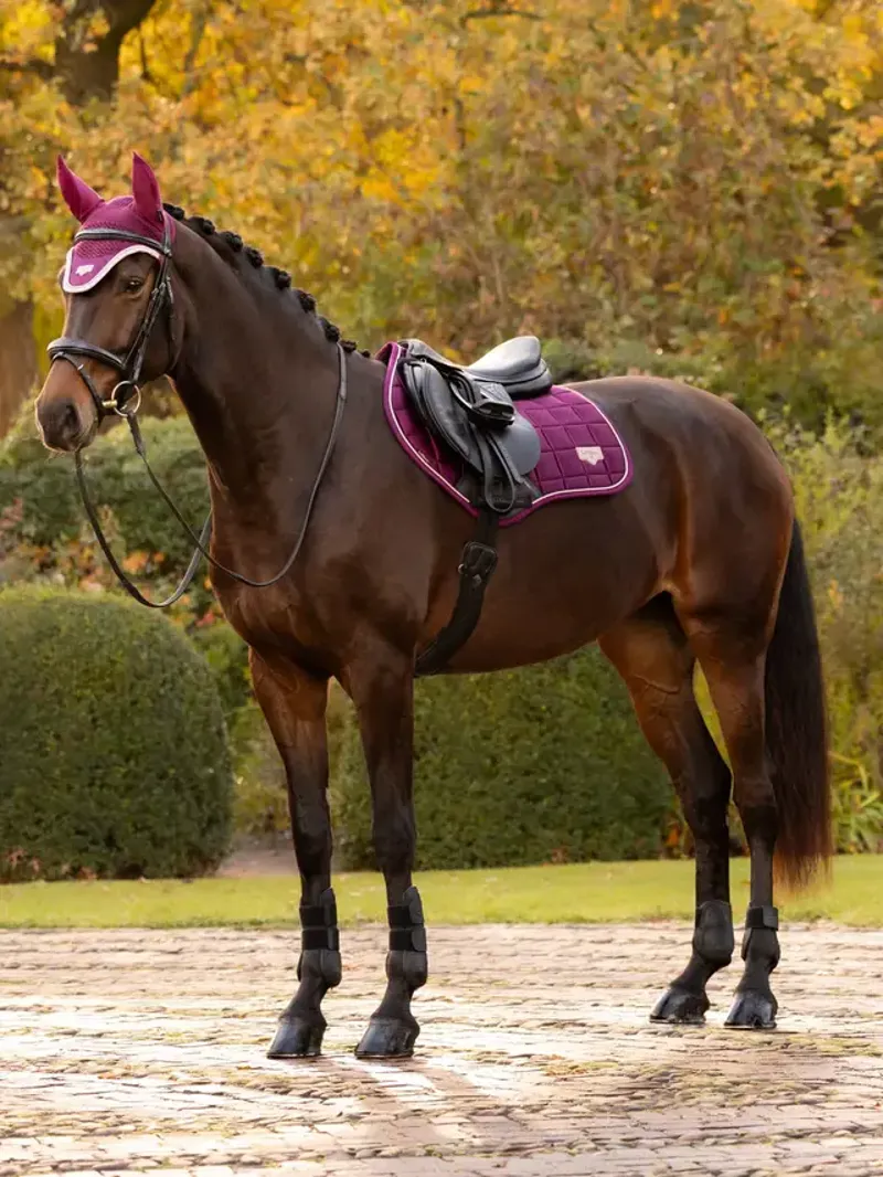 LeMieux Loire Classic Close Contact Square - Blackberry-1