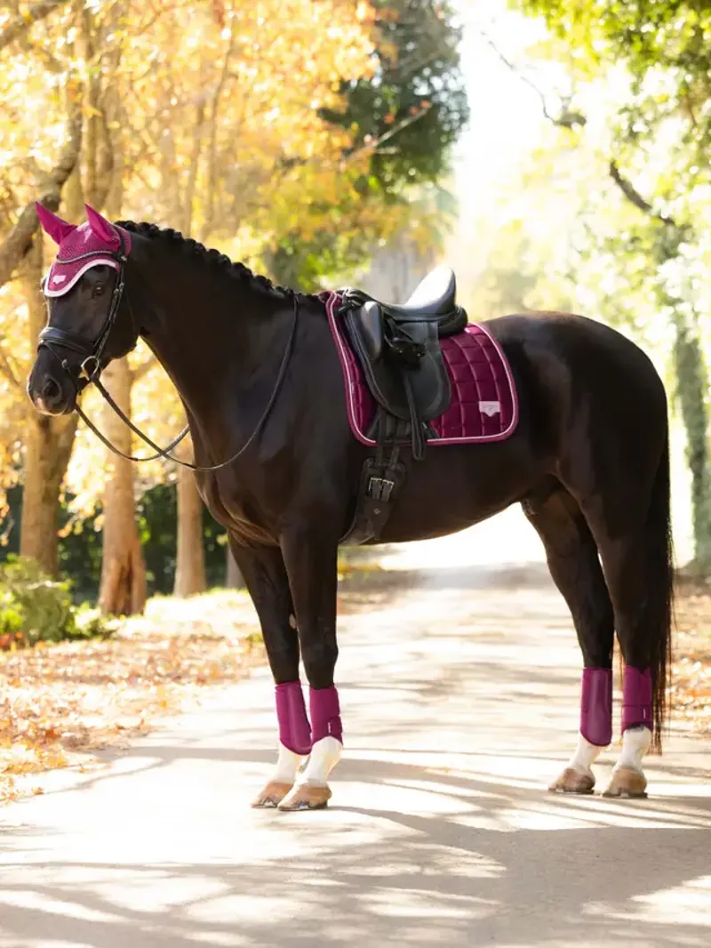 LeMieux Loire Classic Dressage Square - Blackberry Large-1