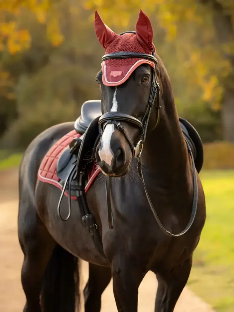 LeMieux Loire Fly Hood - Russet Large-1