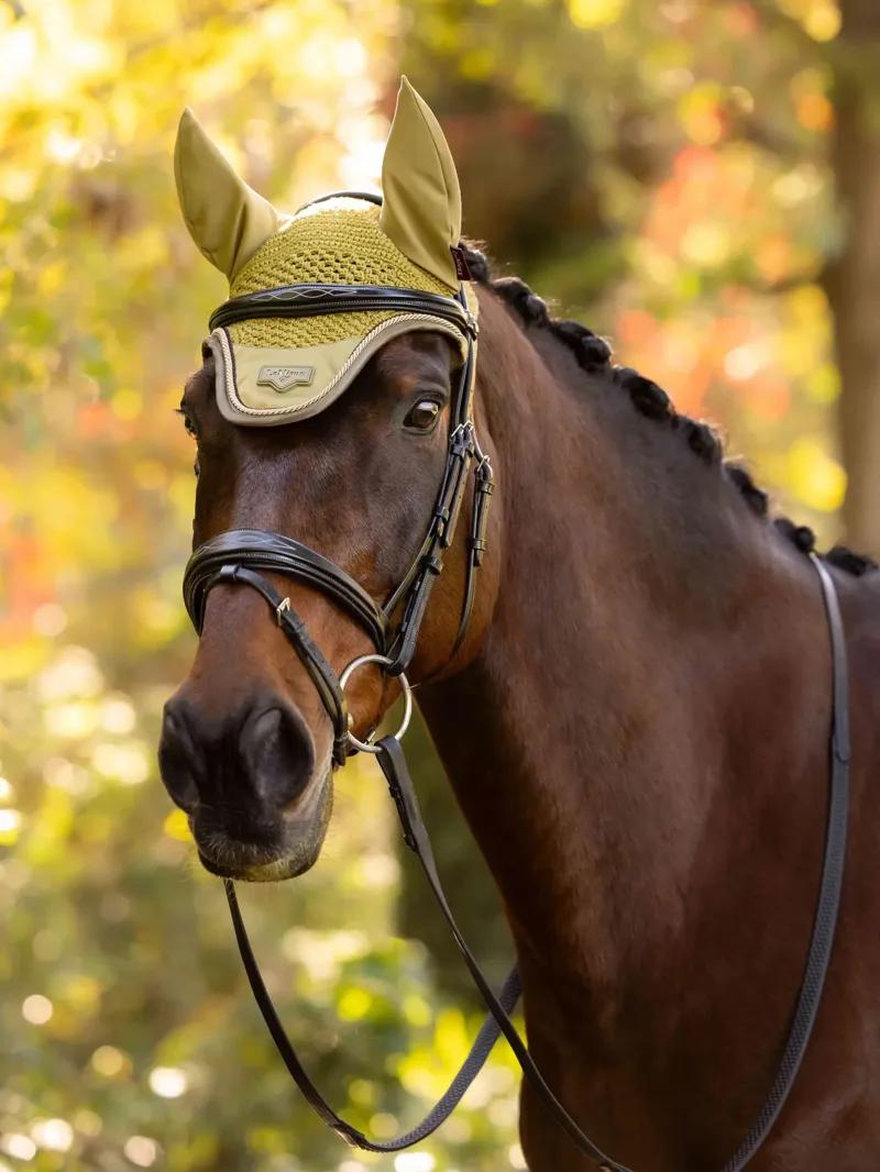 LeMieux Loire Fly Hood - Gooseberry Large-1
