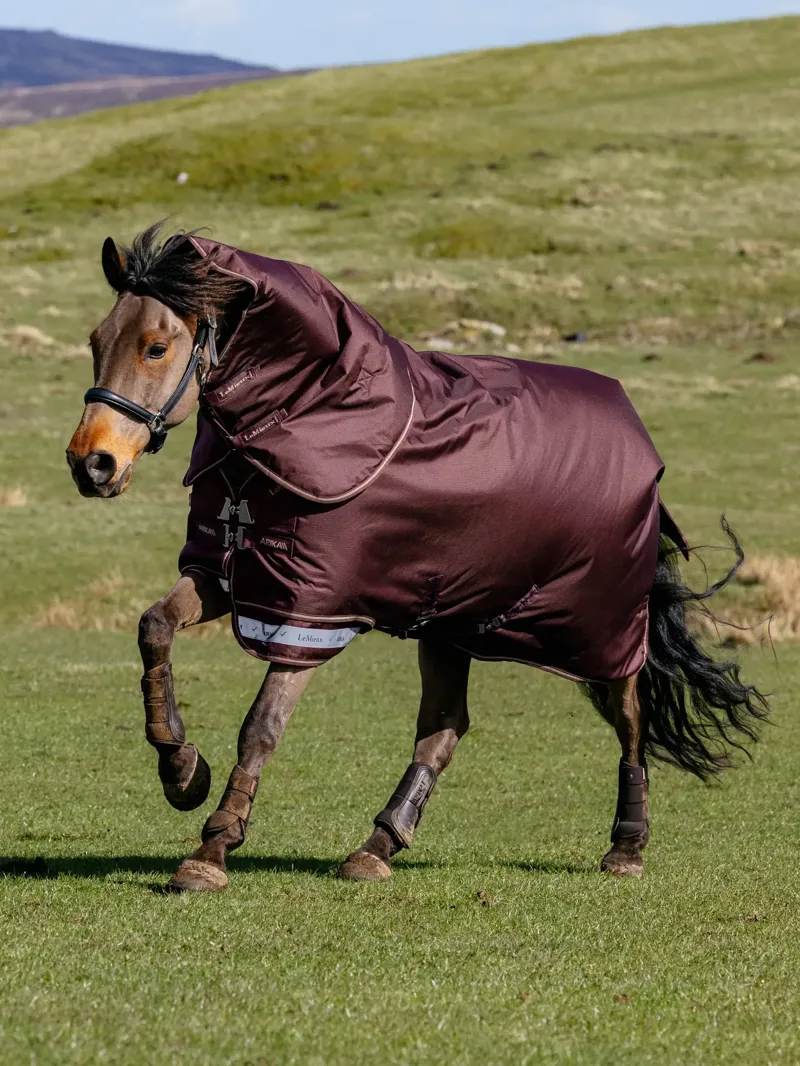 LeMieux Arika Ripstop 100g Turnout Rug - Bramble