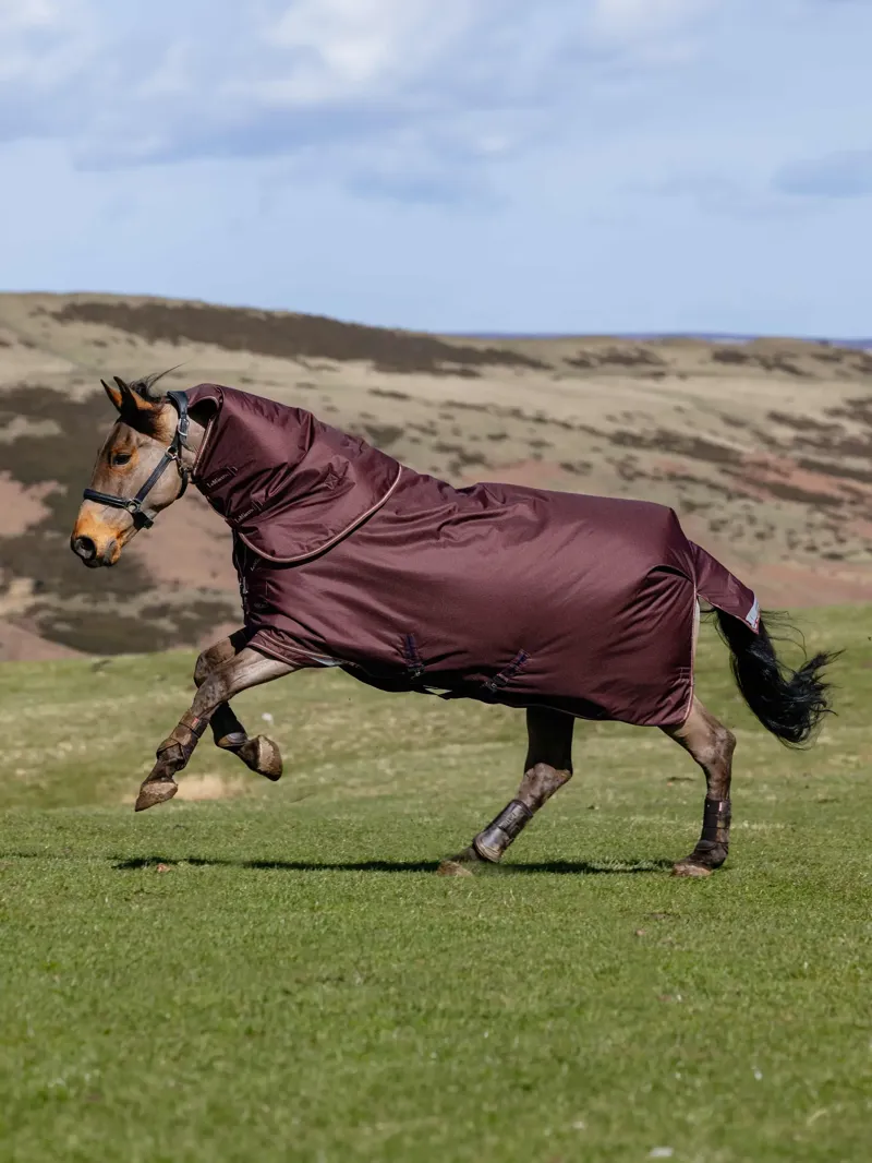 LeMieux Arika Ripstop 0g Turnout Rug - Bramble-1