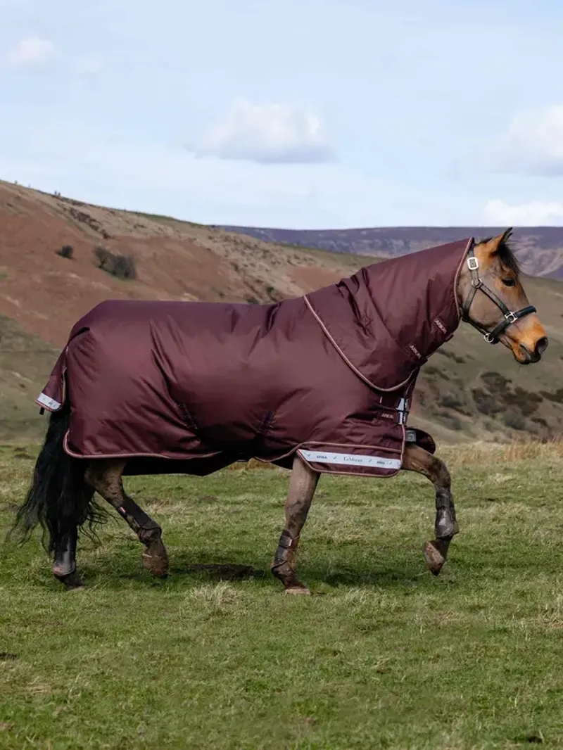 LeMieux Arika Ripstop 100g Turnout Rug - Bramble-1