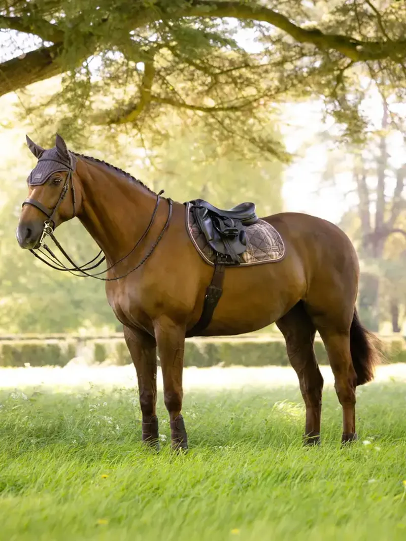 LeMieux Heritage Check Jump Square - Cocoa-3