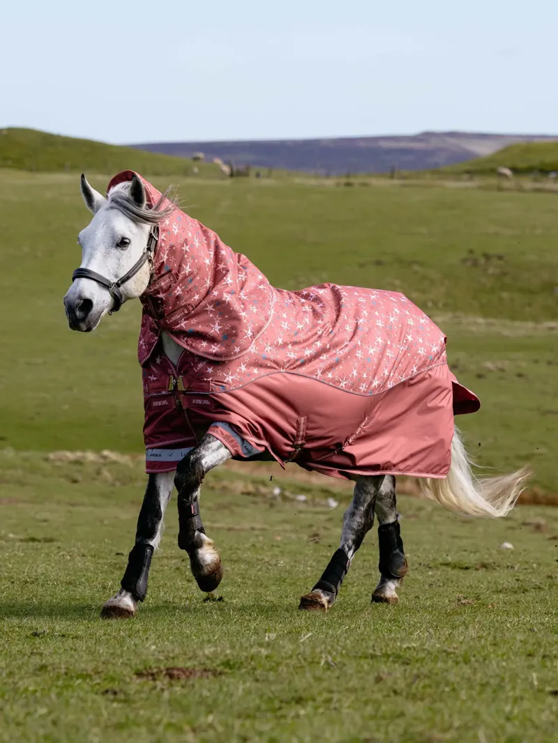 LeMieux Arika Star Turnout Rug 200g - Spiced Earth-1