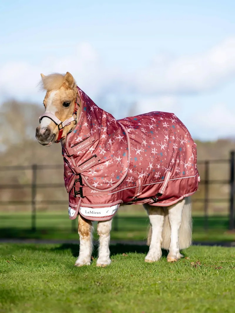 LeMieux Arika Star Turnout Rug 100g - Spiced Earth-1