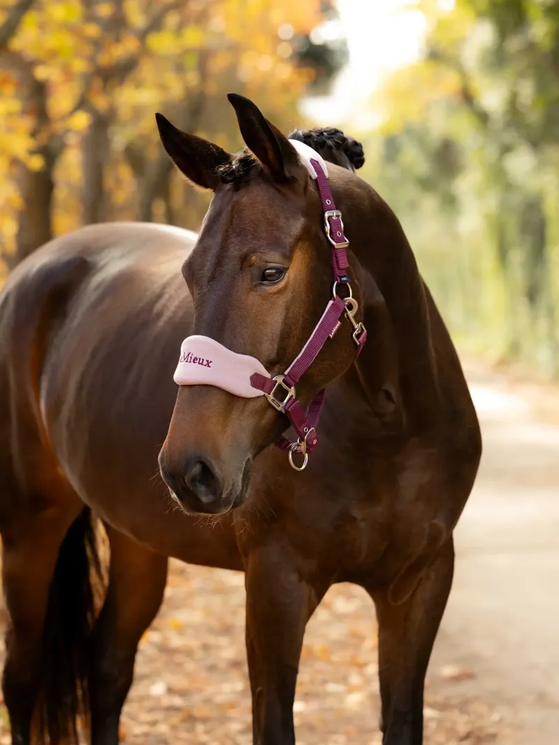 LeMieux Vogue Headcollar and Leadrope - Blackberry-1