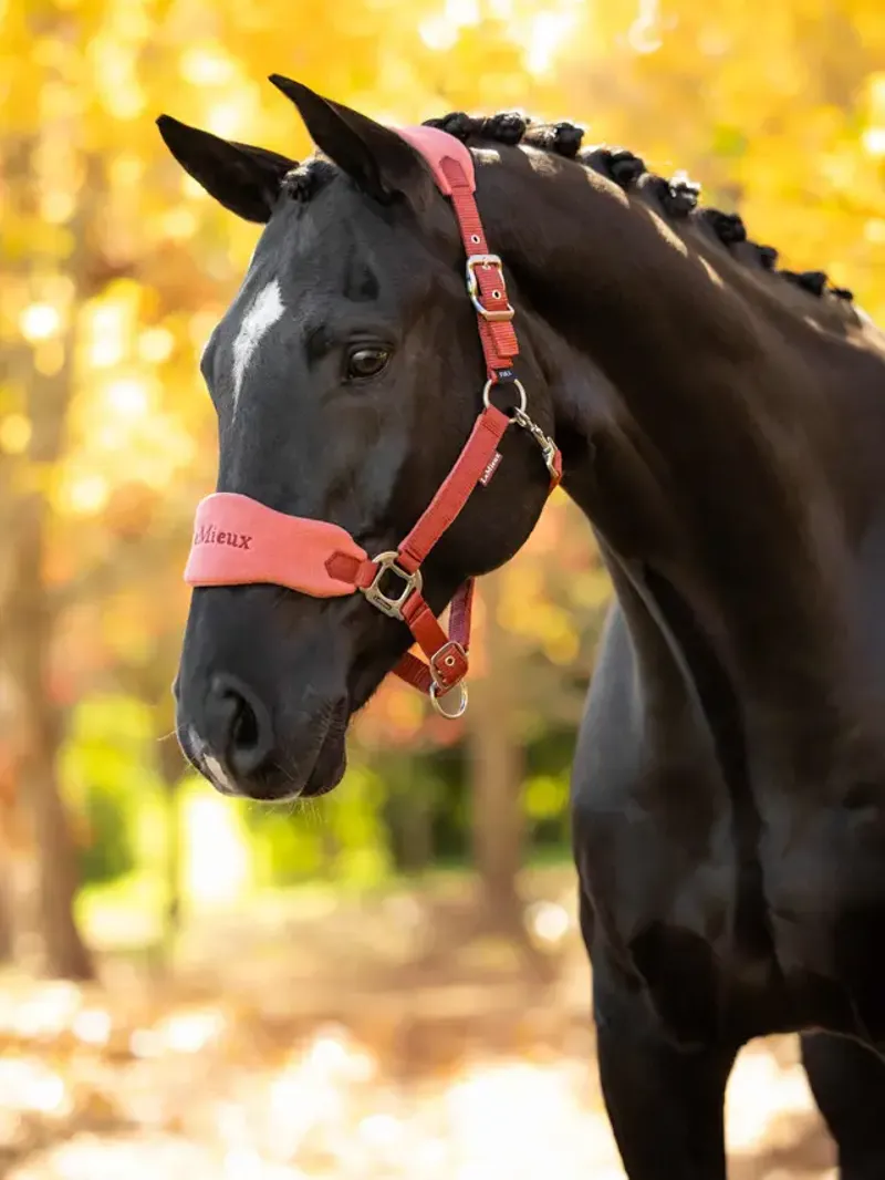 LeMieux Vogue Headcollar and Leadrope - Russet-1