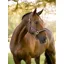 LeMieux Heritage Headcollar - Cocoa