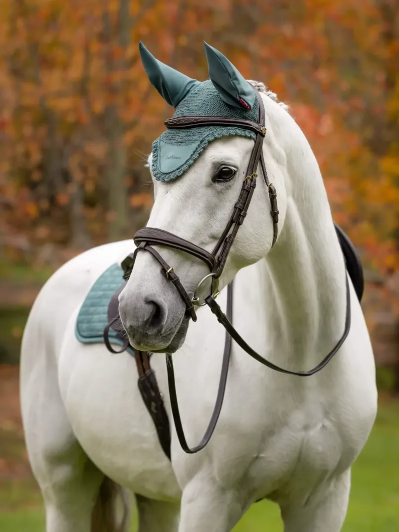 LeMieux Classic Fly Hood - Aloe Large-1