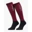 LeMieux Competition Socks 2 Pack - Blackberry Medium