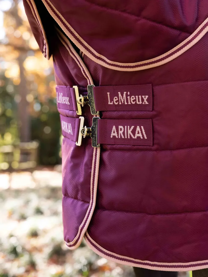 LeMieux Arika Stable-Tek with Neck 100g - Blackberry-1