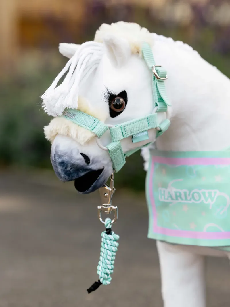 LeMieux Harlow Toy Pony Headcollar and Leadrope  - Softmint-2