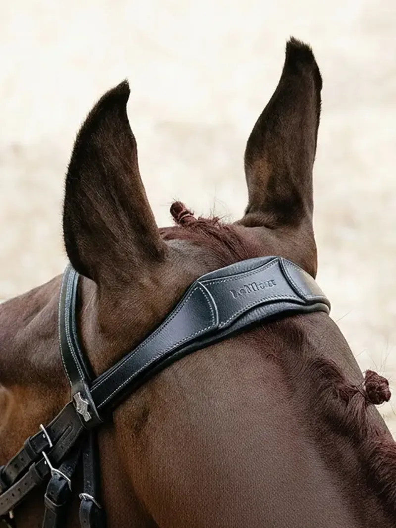 LeMieux Arika Anatomic Drop Bridle - Brown/Silver-1