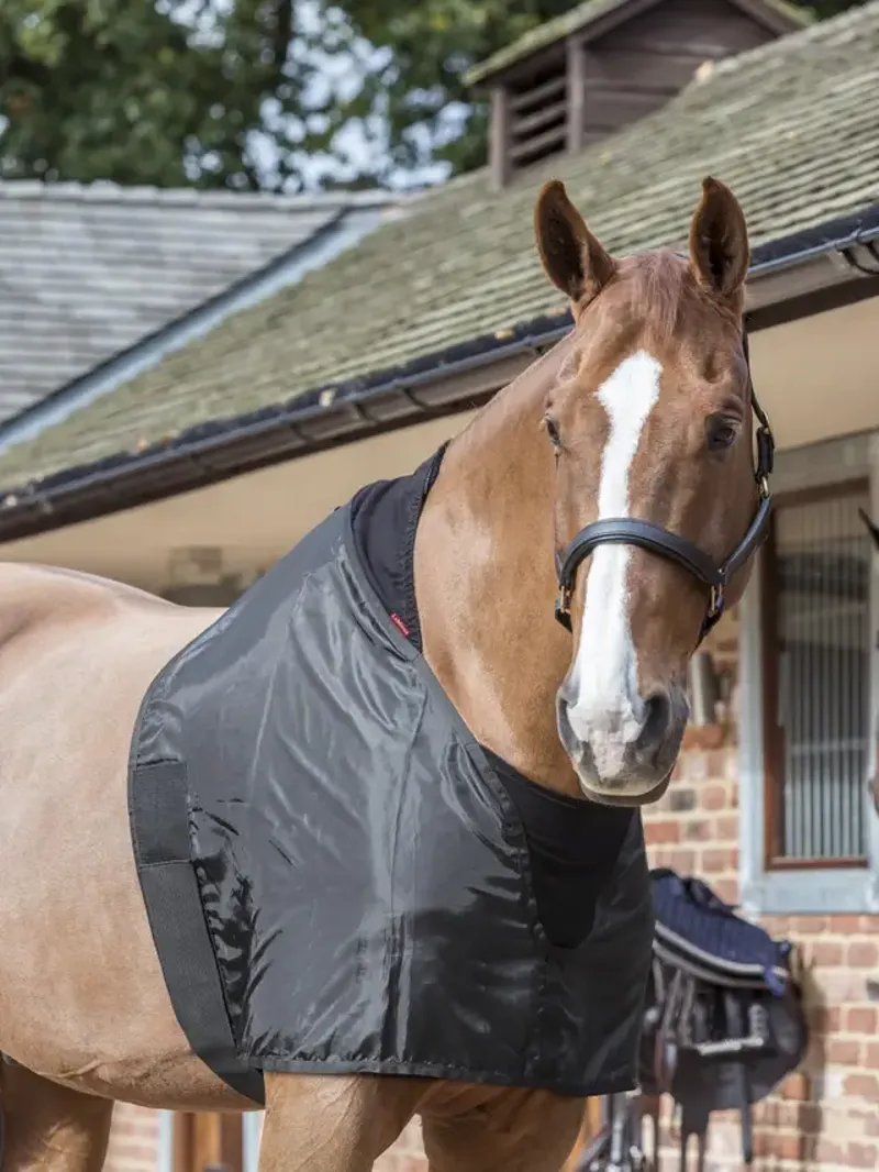 LeMieux Anti Rub Bib - Black Medium-1
