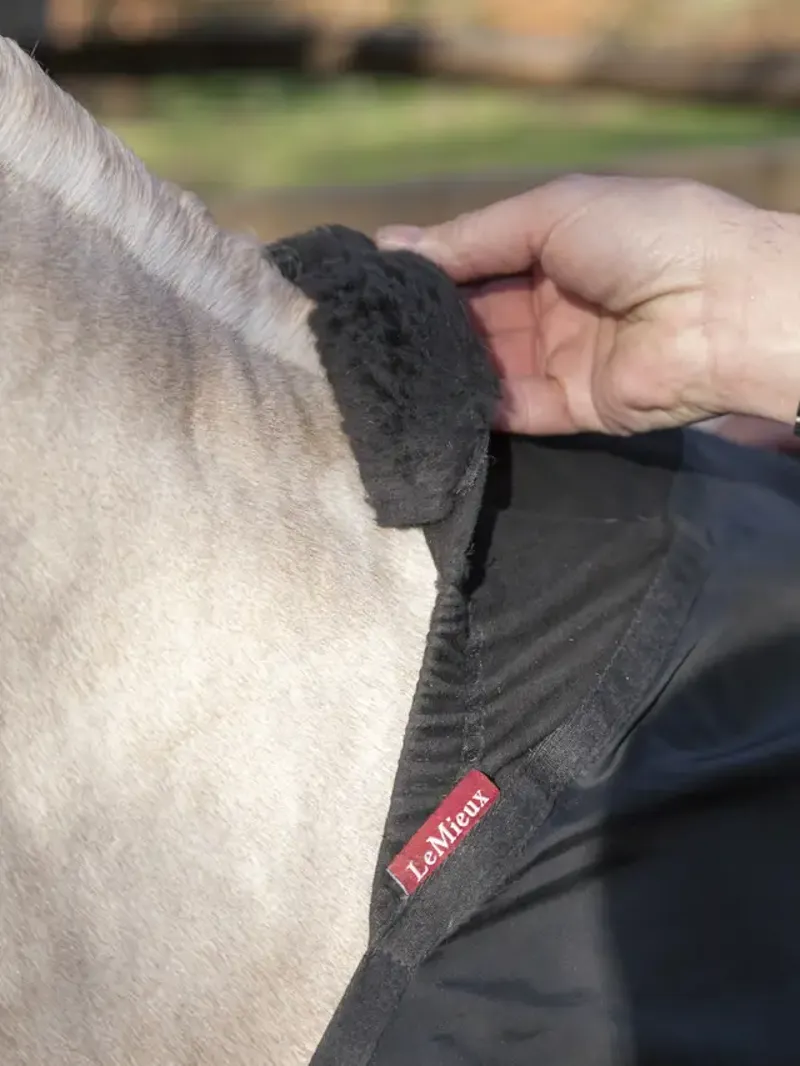 LeMieux Anti Rub Bib - Black Medium-3