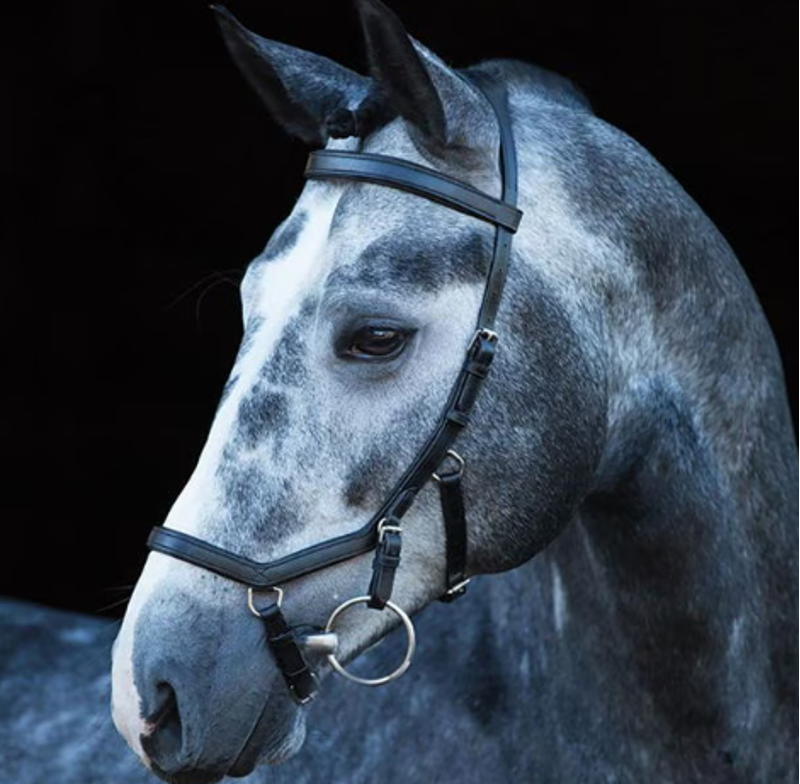 Micklem Multi Bridle