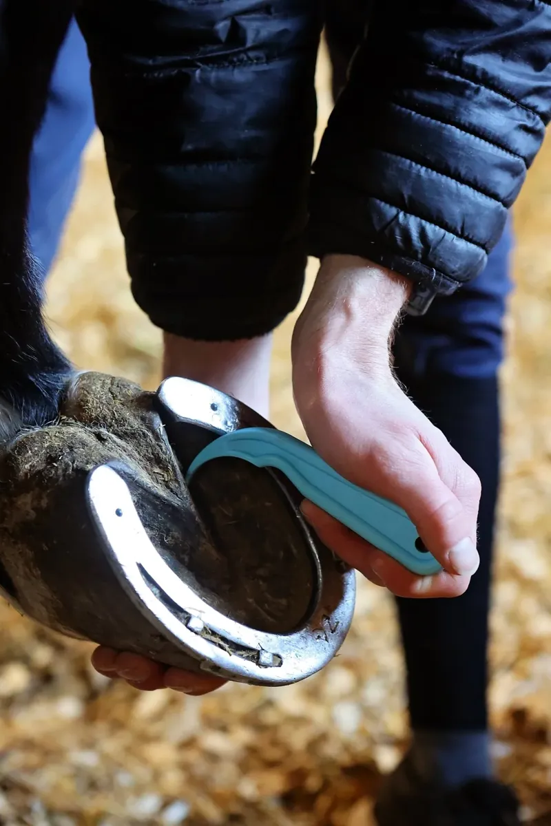 Red Gorilla Hoof Pick-1