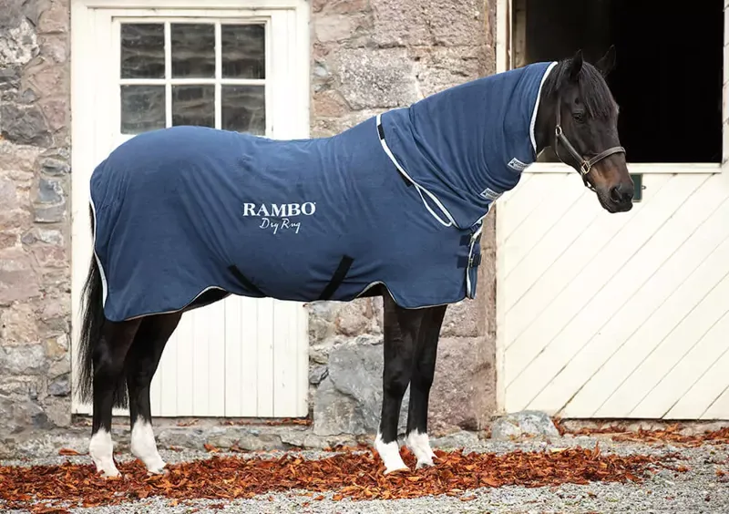 Horseware Rambo Dry Rug - Small 