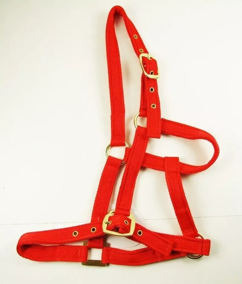 Eclipse Cushion Webbing Headcollar. Fully Adjustable-2