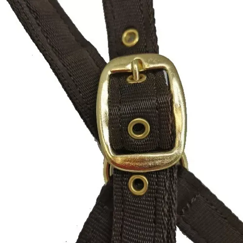 Eclipse Cushion Webbing Headcollar. Fully Adjustable-1