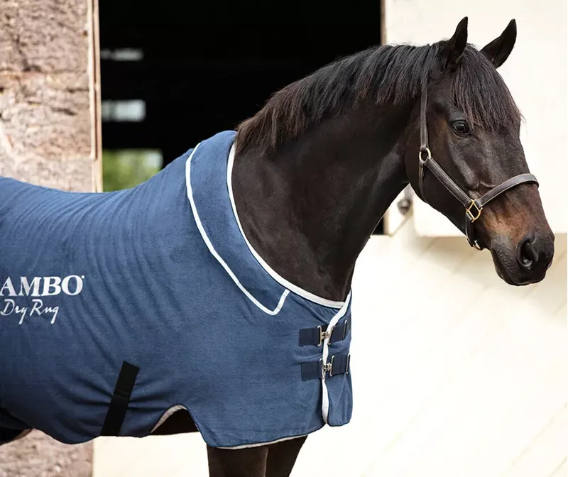 Horseware Rambo Dry Rug - Small -2