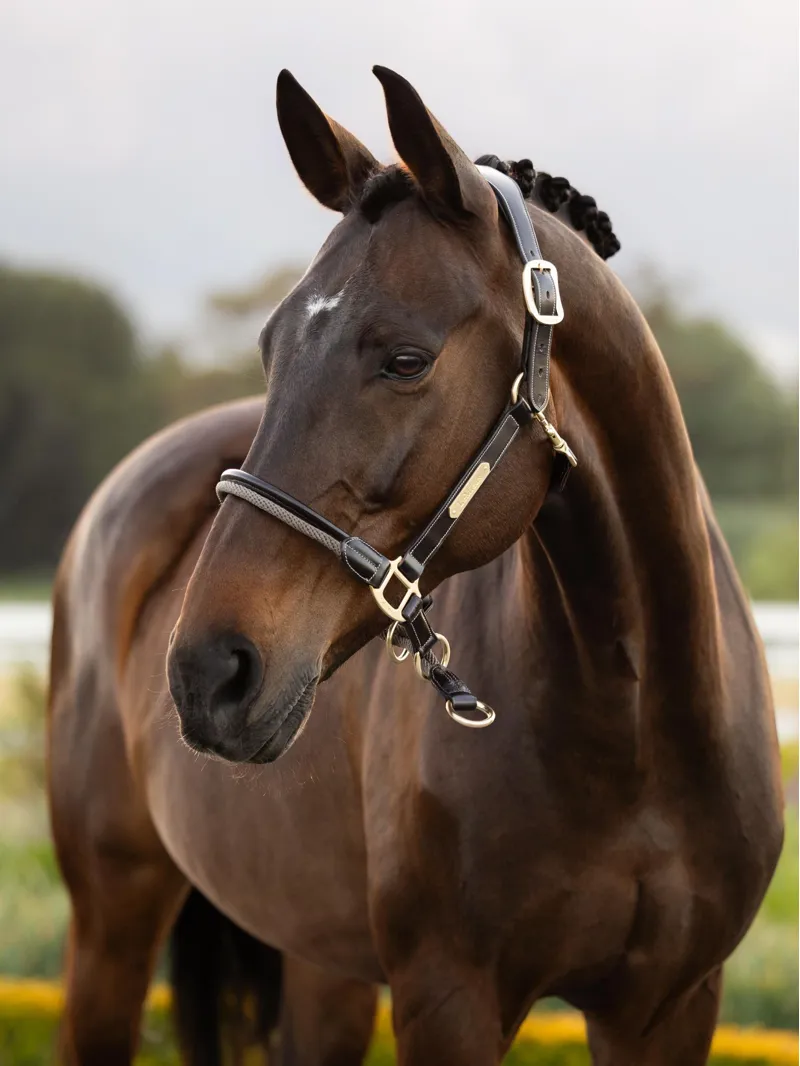 LeMieux Rope Control Headcollar - Pecan-1