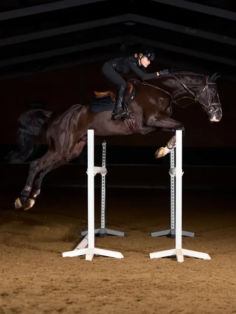 LeMieux ProForm Moulded Close Contact Pad - Black Large-3